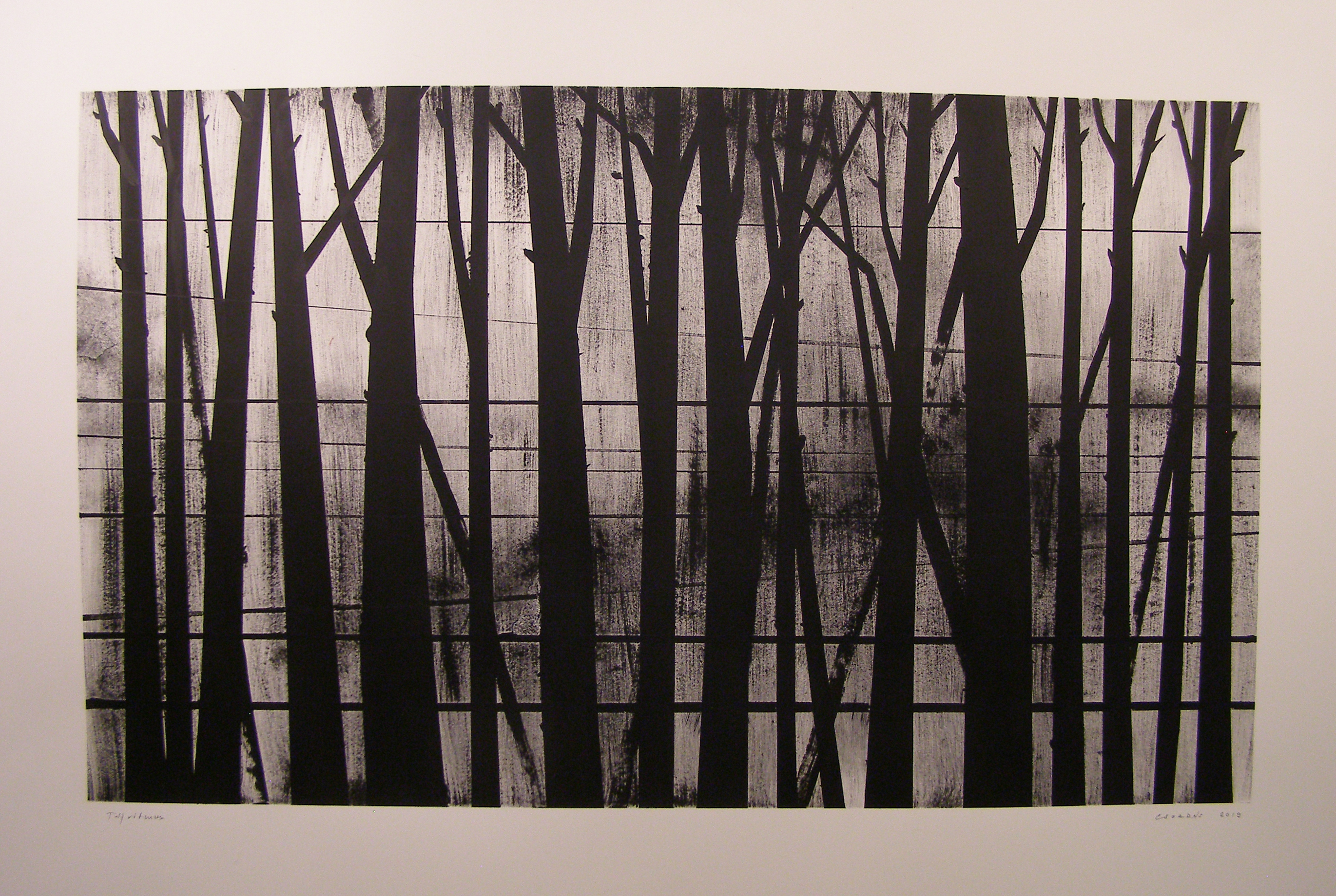 Cover image for Sorozat | Cím